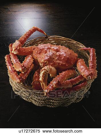 King Crab View Large Photo Image Stock Photography - King Crab. Fotosearch