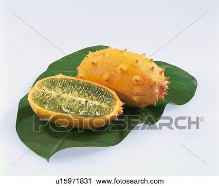 Kiwano View Large Photo Image Stock Image - Kiwano. Fotosearch