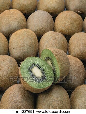 Stock Image - Kiwi Berry. Fotosearch