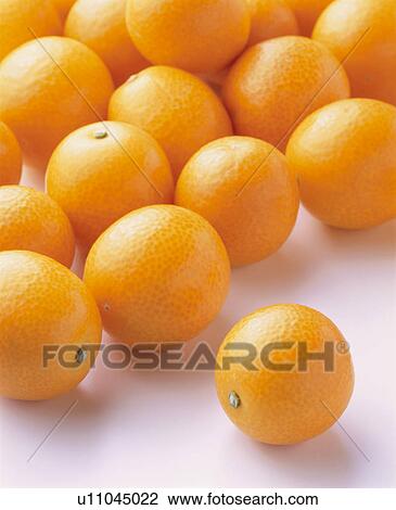 Stock Image - Kumquat. Fotosearch