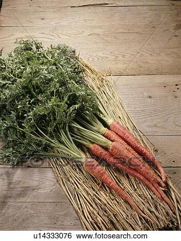 Stock Photograph - Kyoto Style Carrot. Fotosearch