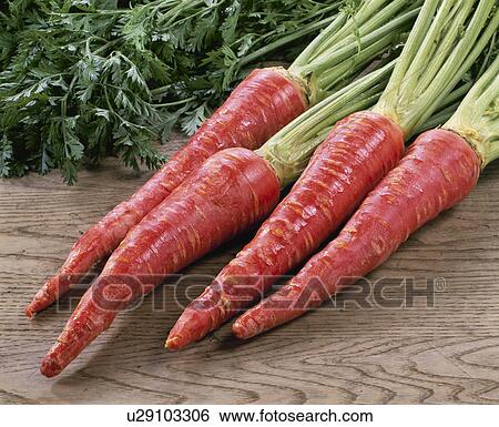 Kyoto Style Carrot View Large Photo Image Stock Photograph - Kyoto Style Carrot. Fotosearch