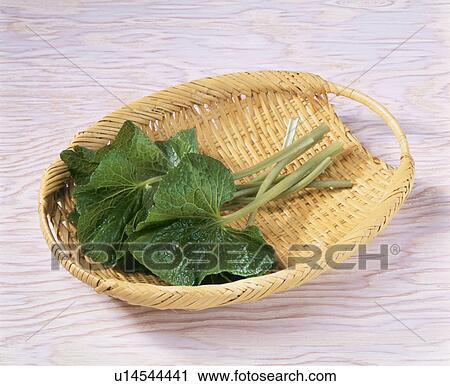 Stock Image - Leaf, Japanese Horseradish. Fotosearch