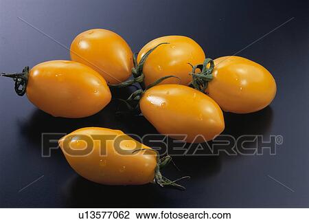 Lemon Tomato View Large Photo Image Stock Image - Lemon Tomato. Fotosearch