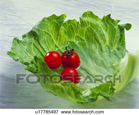 Stock Photo - Lettuce, Cherry Tomato. Fotosearch