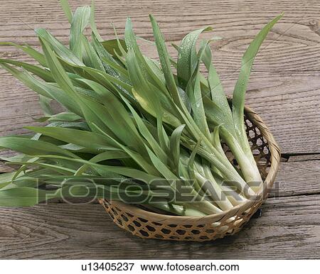 Licorice View Large Photo Image Stock Photo - Licorice. Fotosearch