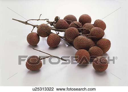 Stock Image - Litchi. Fotosearch