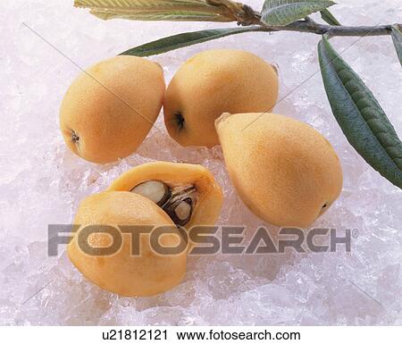 Stock Image - Loquat. Fotosearch