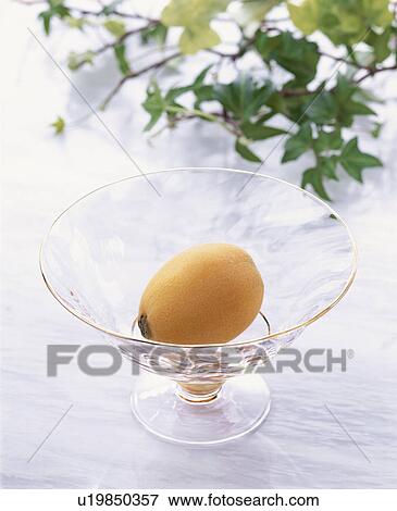 Stock Photo - Loquat. Fotosearch