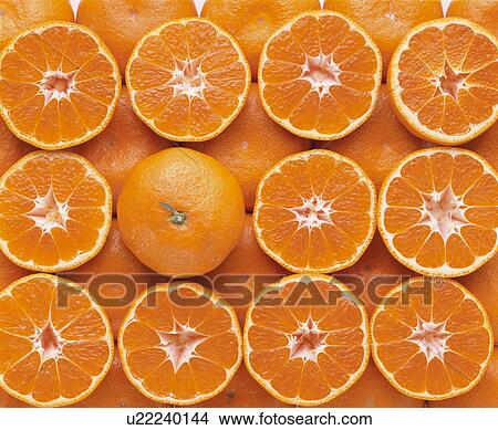 Picture - Mandarin Orange. Fotosearch