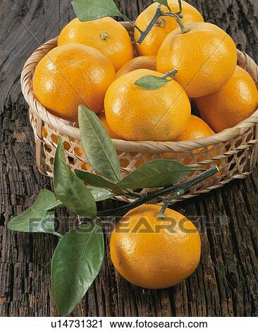 Stock Image - Mandarin Orange. Fotosearch