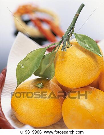 Mandarin Orange View Large Photo Image Stock Image - Mandarin Orange. Fotosearch