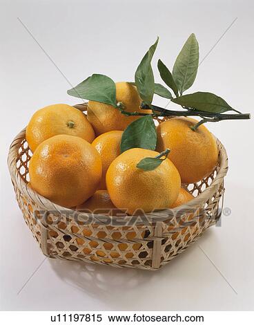Stock Photography - Mandarin Orange. Fotosearch