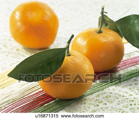 Mandarin Orange View Large Photo Image Stock Photography - Mandarin Orange. Fotosearch