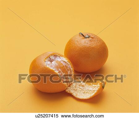 Stock Photography - Mandarin Orange. Fotosearch