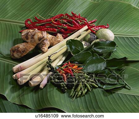 Stock Photo - Material Of Thai Food. Fotosearch