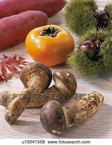 Stock Photo - Matsutake. Fotosearch