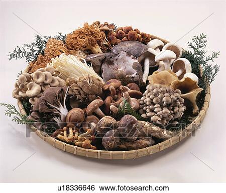 Stock Photograph - Mushroom. Fotosearch