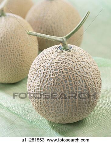 Muskmelon View Large Photo Image Stock Image - Muskmelon. Fotosearch