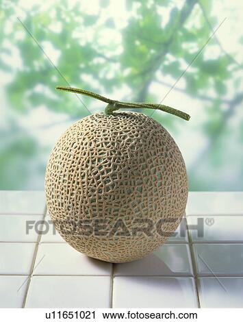Stock Image - Muskmelon. Fotosearch
