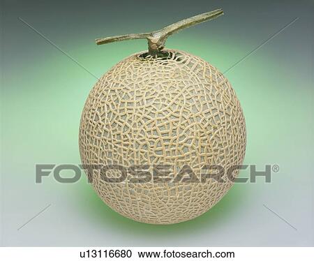 Muskmelon View Large Photo Image Stock Image - Muskmelon. Fotosearch