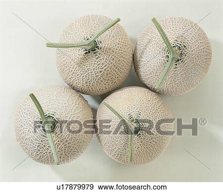 Muskmelon View Large Photo Image Stock Photo - Muskmelon. Fotosearch
