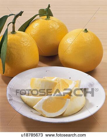 New Summer Orange View Large Photo Image Stock Image - New Summer Orange. Fotosearch