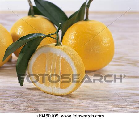 New Summer Orange View Large Photo Image Stock Photo - New Summer Orange. Fotosearch