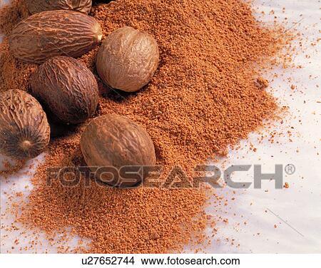 Nutmeg View Large Photo Image Picture - Nutmeg. Fotosearch