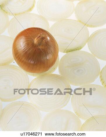 Onion View Large Photo Image Stock Image - Onion. Fotosearch