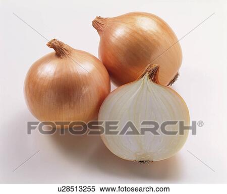 Stock Photography - Onion. Fotosearch