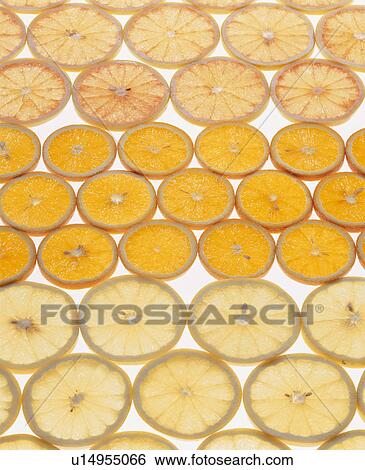 Orange, Grapefruit View Large Photo Image Stock Photograph - Orange, Grapefruit. Fotosearch