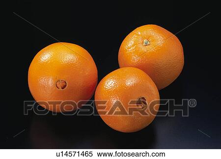 Orange, Navel Orange View Large Photo Image Stock Photography - Orange, Navel Orange. Fotosearch