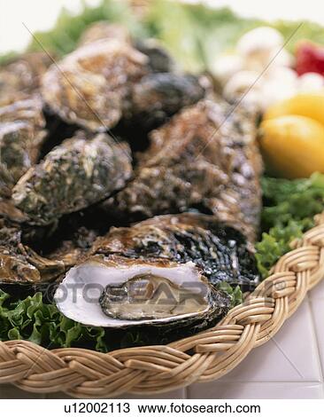 Stock Image - Oyster. Fotosearch