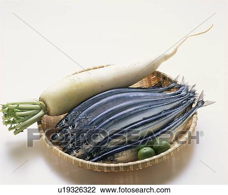 Stock Image - Pacific Saury. Fotosearch