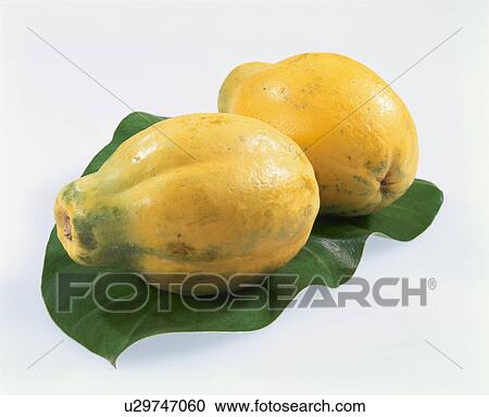 Stock Image - Papaya. Fotosearch