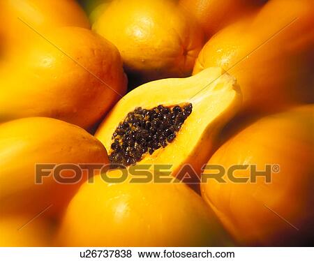 Stock Photo - Papaya. Fotosearch
