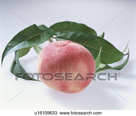 Peach, Kawanakajima Hakuho, View Large Photo Image Stock Image - Peach, Kawanakajima Hakuho,. Fotosearch