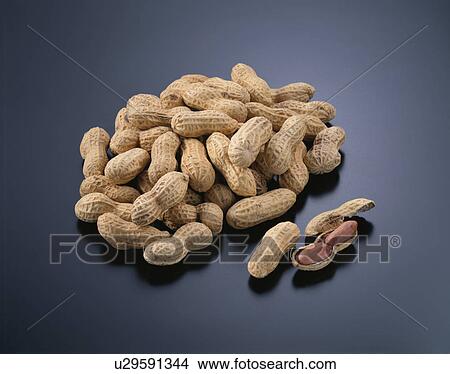 Picture - Peanut. Fotosearch