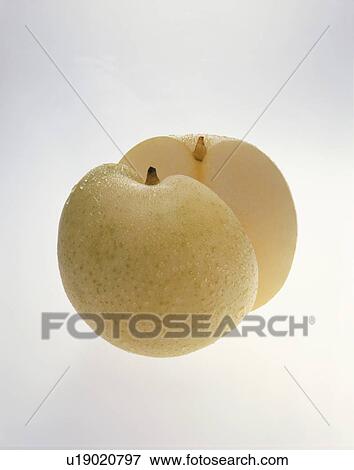 Pear, 20Th Century View Large Photo Image Stock Photo - Pear, 20Th Century. Fotosearch