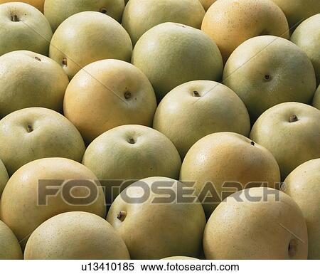 Pear, 20Th Century View Large Photo Image Stock Photography - Pear, 20Th Century. Fotosearch