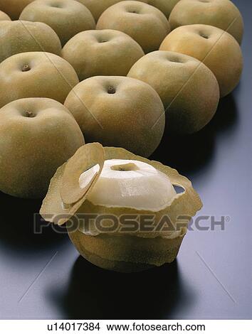 Pear, Kosui View Large Photo Image Picture - Pear, Kosui. Fotosearch