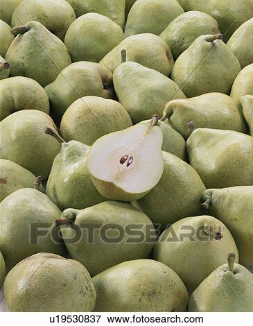 Pear, Marguerite Marillat View Large Photo Image Stock Photo - Pear, Marguerite Marillat. Fotosearch