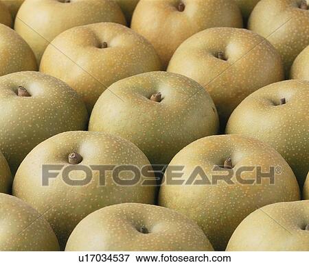 Pear View Large Photo Image Stock Photo - Pear. Fotosearch