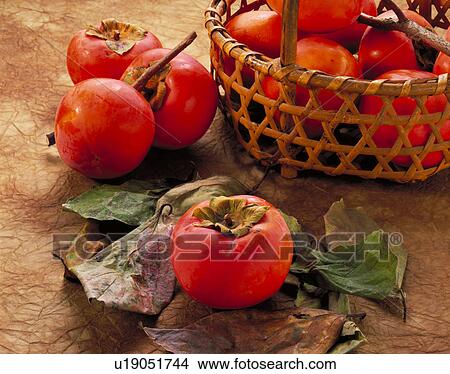Picture - Persimmon. Fotosearch