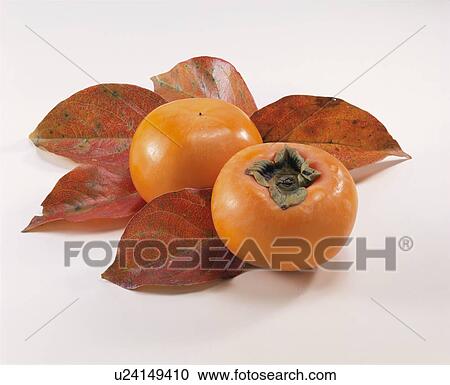 Stock Image - Persimmon. Fotosearch