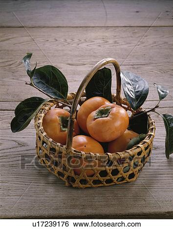 Persimmon View Large Photo Image Stock Photograph - Persimmon. Fotosearch
