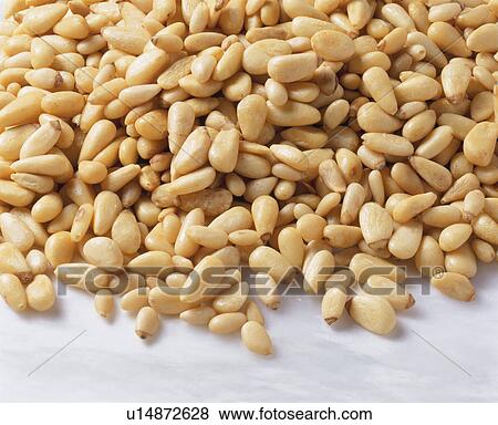 Pine Nuts View Large Photo Image Stock Photo - Pine Nuts. Fotosearch