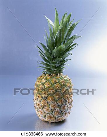 Pineapple, Freezing, View Large Photo Image Stock Photograph - Pineapple, Freezing,. Fotosearch