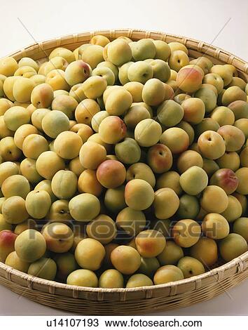 Plum View Large Photo Image Stock Image - Plum. Fotosearch